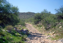Tip_Top_AZ_Trail